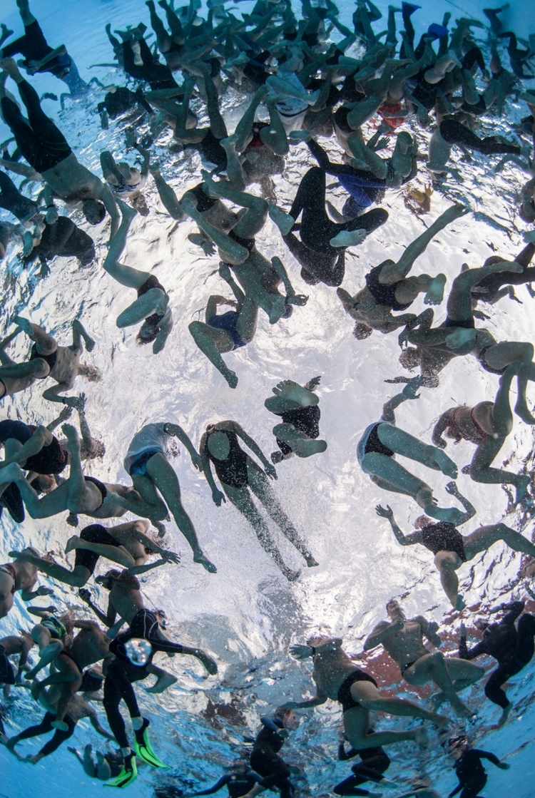 Underwater Photographer of the Year 2015.

III miejsce kategorii International Wide Angle.

"Bottoms Up", fot. Morten Bjorn Larsen